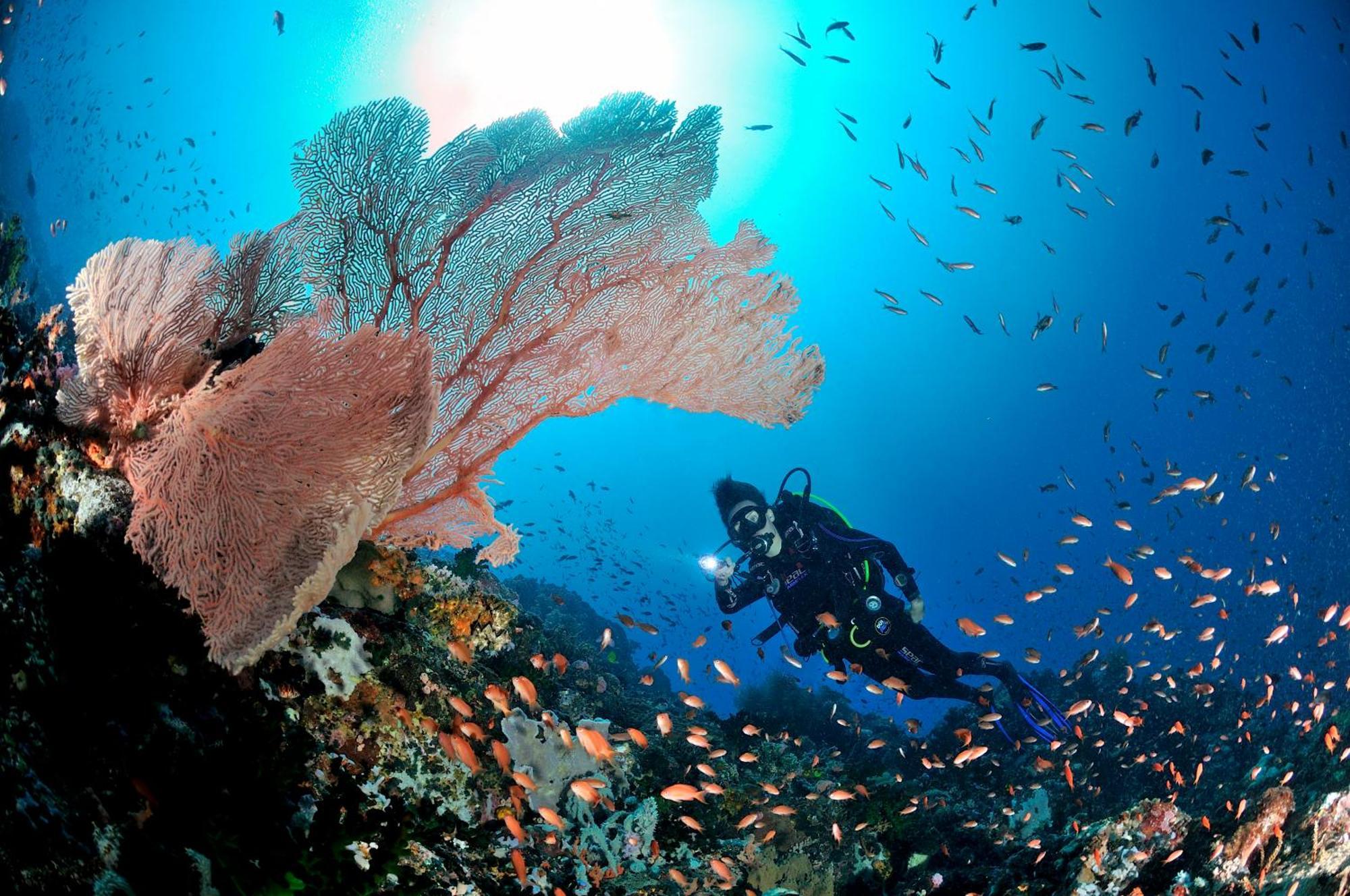 Edgewater Dive & Spa Resort Пуэрто-Галера Экстерьер фото